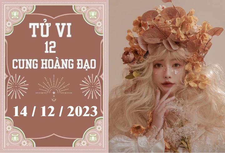 Tử vi vui 12 cung hoàng đạo ngày 14/12: Song Tử phát triển, Thiên Bình may mắn