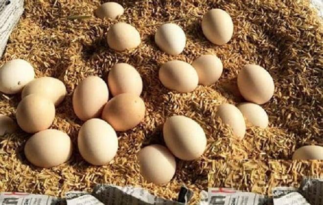 Mẹo bảo quản trứng gà tươi ngon trong vài tháng - 1