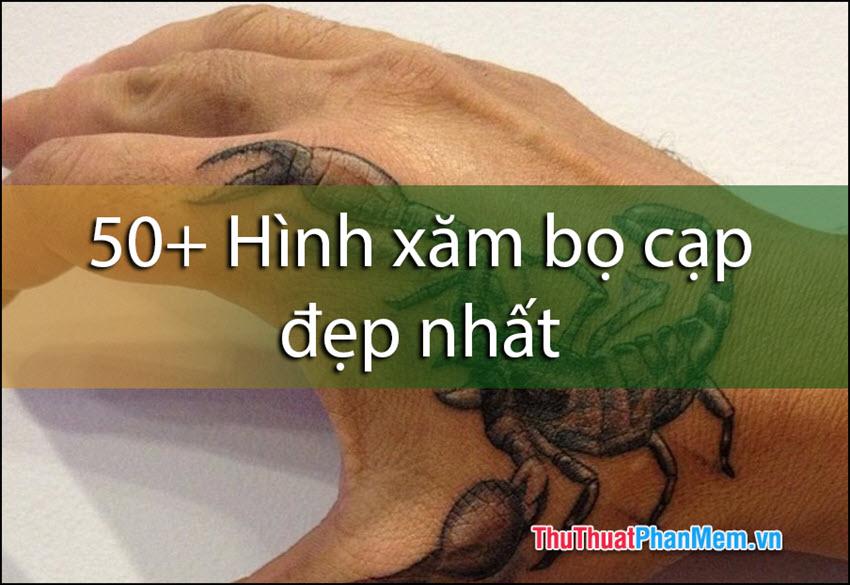 50+ Ý tưởng xăm hình bọ cạp đẹp nhất