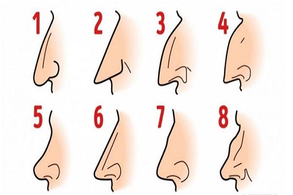 các dáng mũi trong nhân tướng học