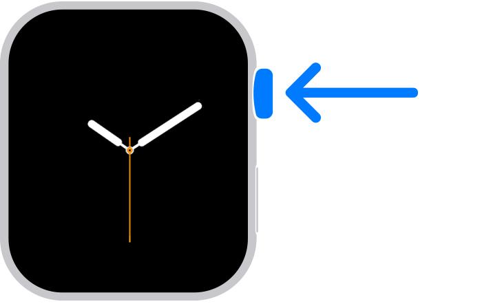Apple Watch đang cho thấy nút Digital Crown
