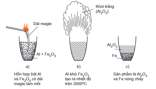 Al + HNO3 (đặc, nóng) → Al(NO3)3 + NO2 + H2O | Al + HNO3 ra NO2