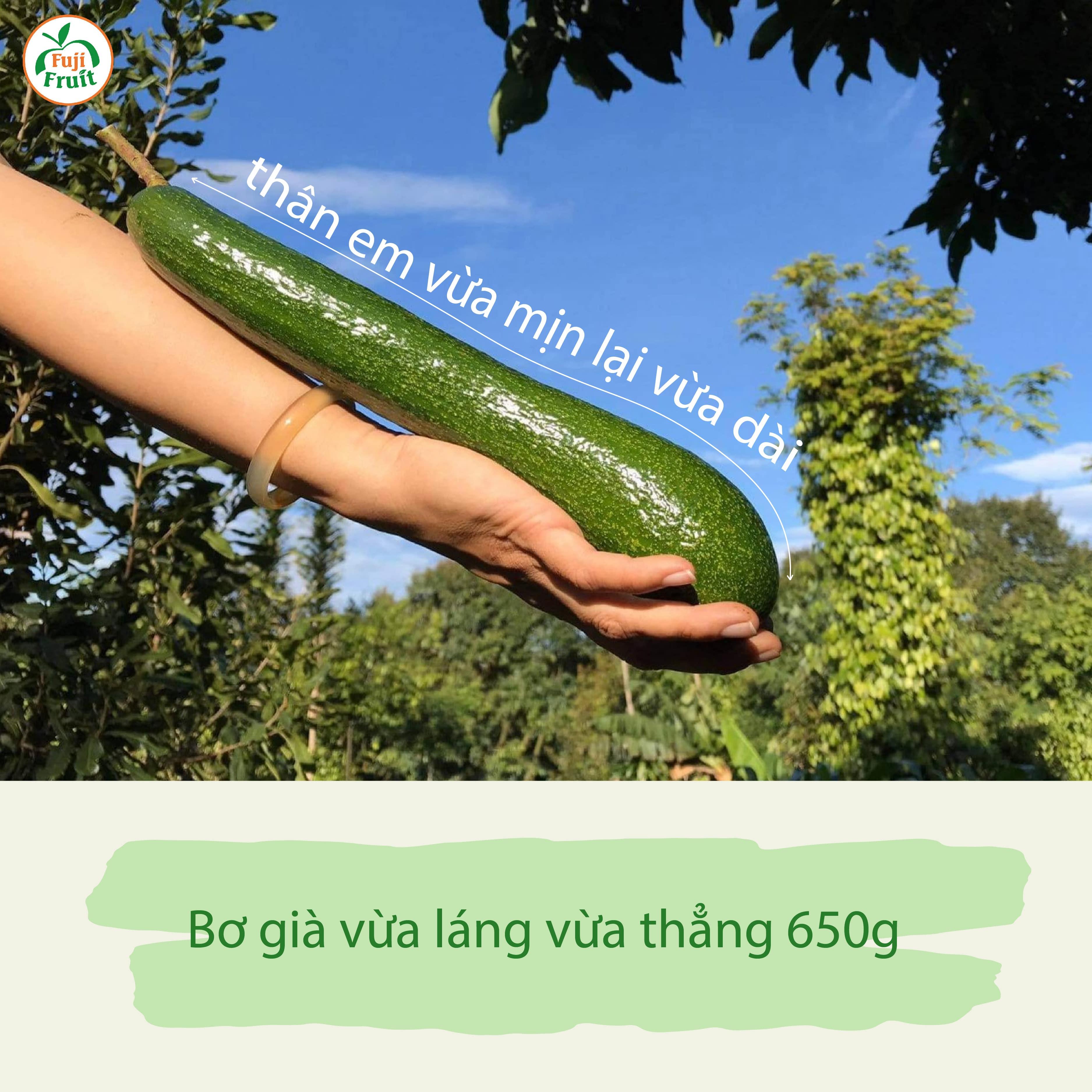 1. Bơ 034 dòng bơ nổi tiếng nhất Lâm Đồng